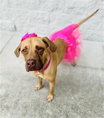 FIONA