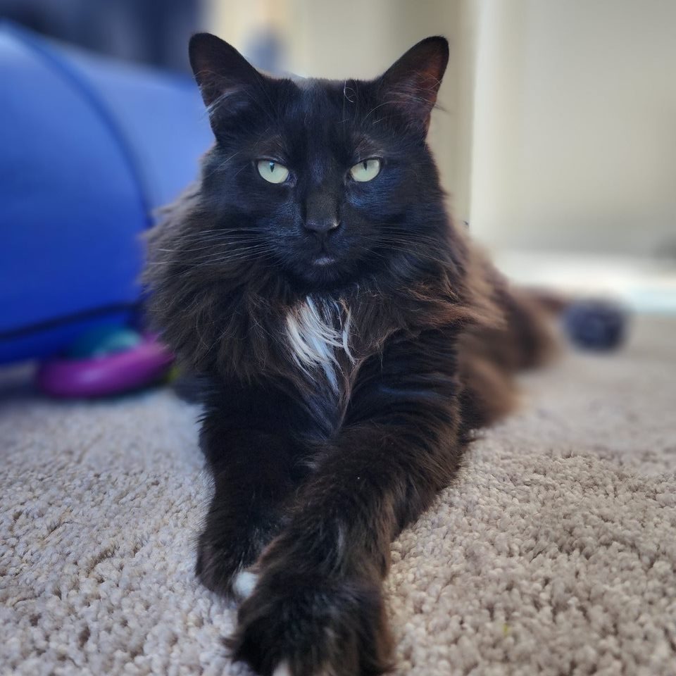 Delilah