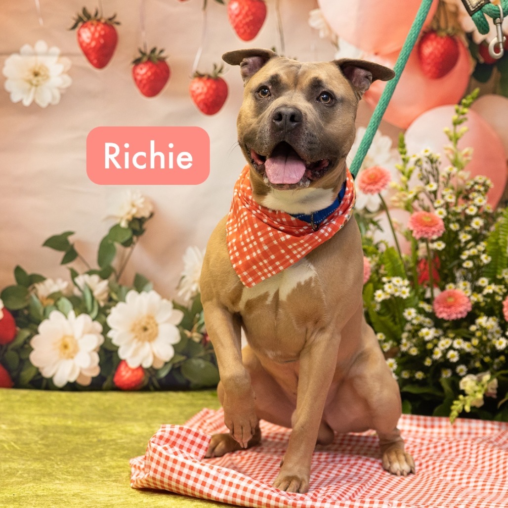 Richie