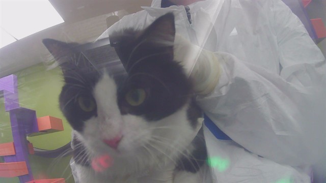 TUX