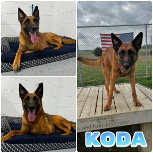 Koda - SPONSORED