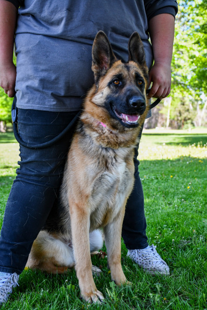 Penelope