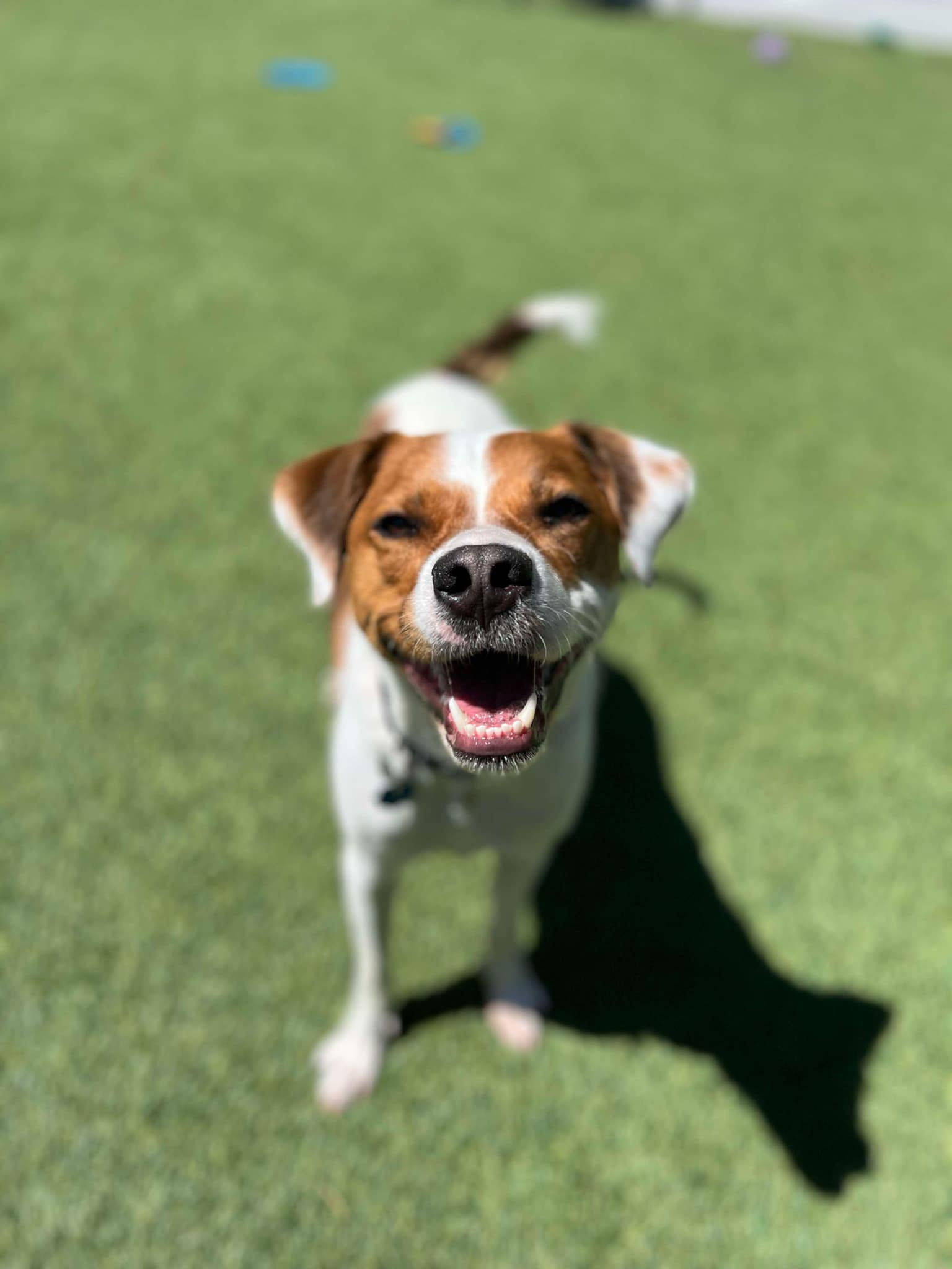 BARKLEY