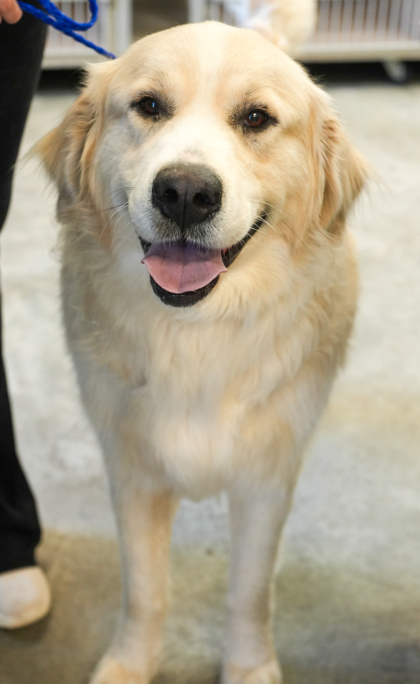 Lucy