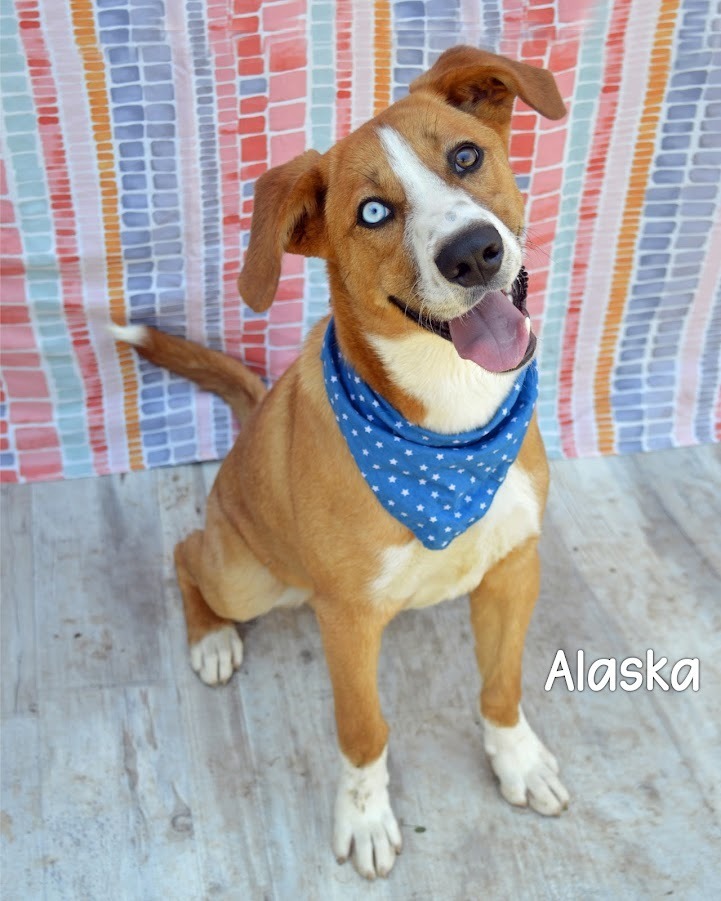 Alaska