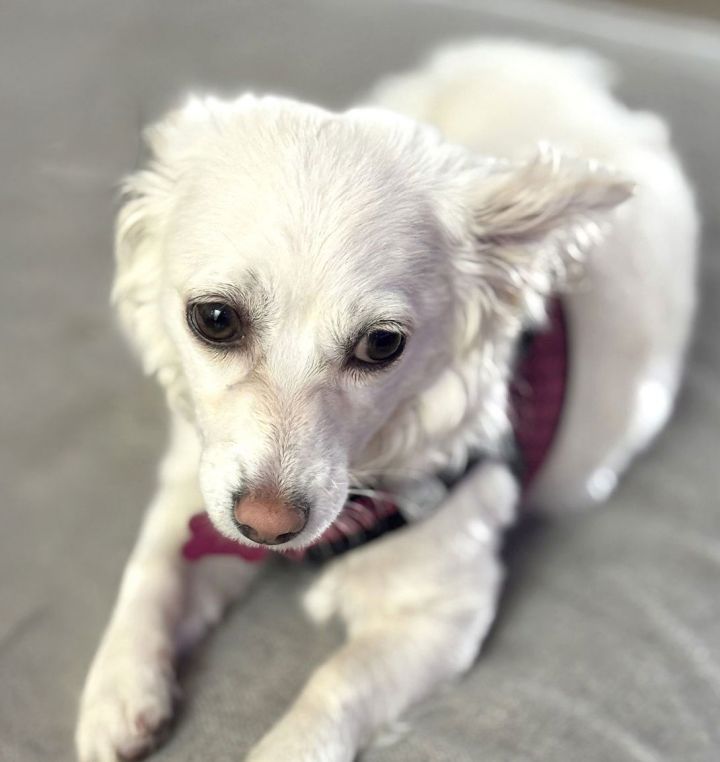 Lola 3