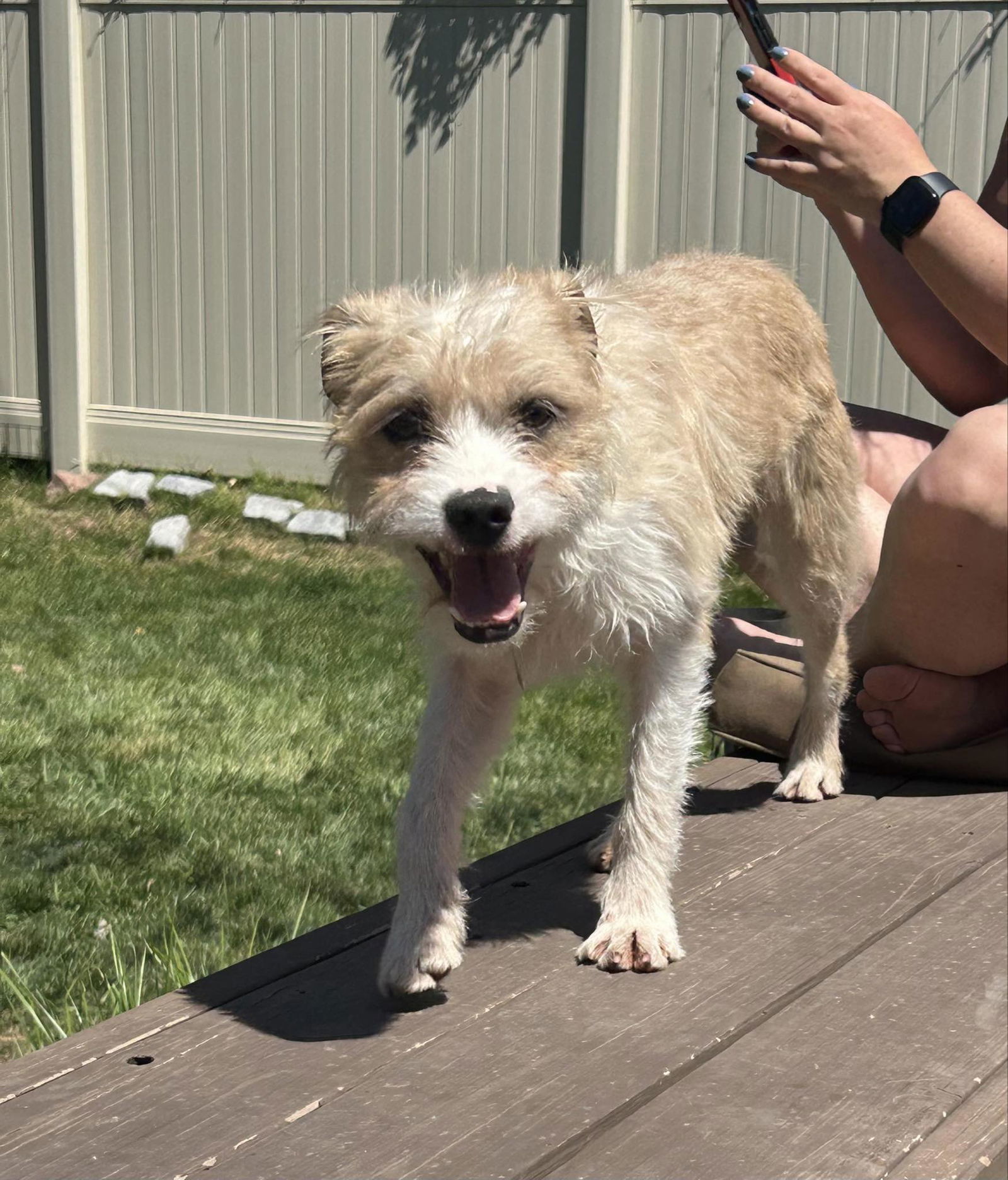 Winston Wiggles