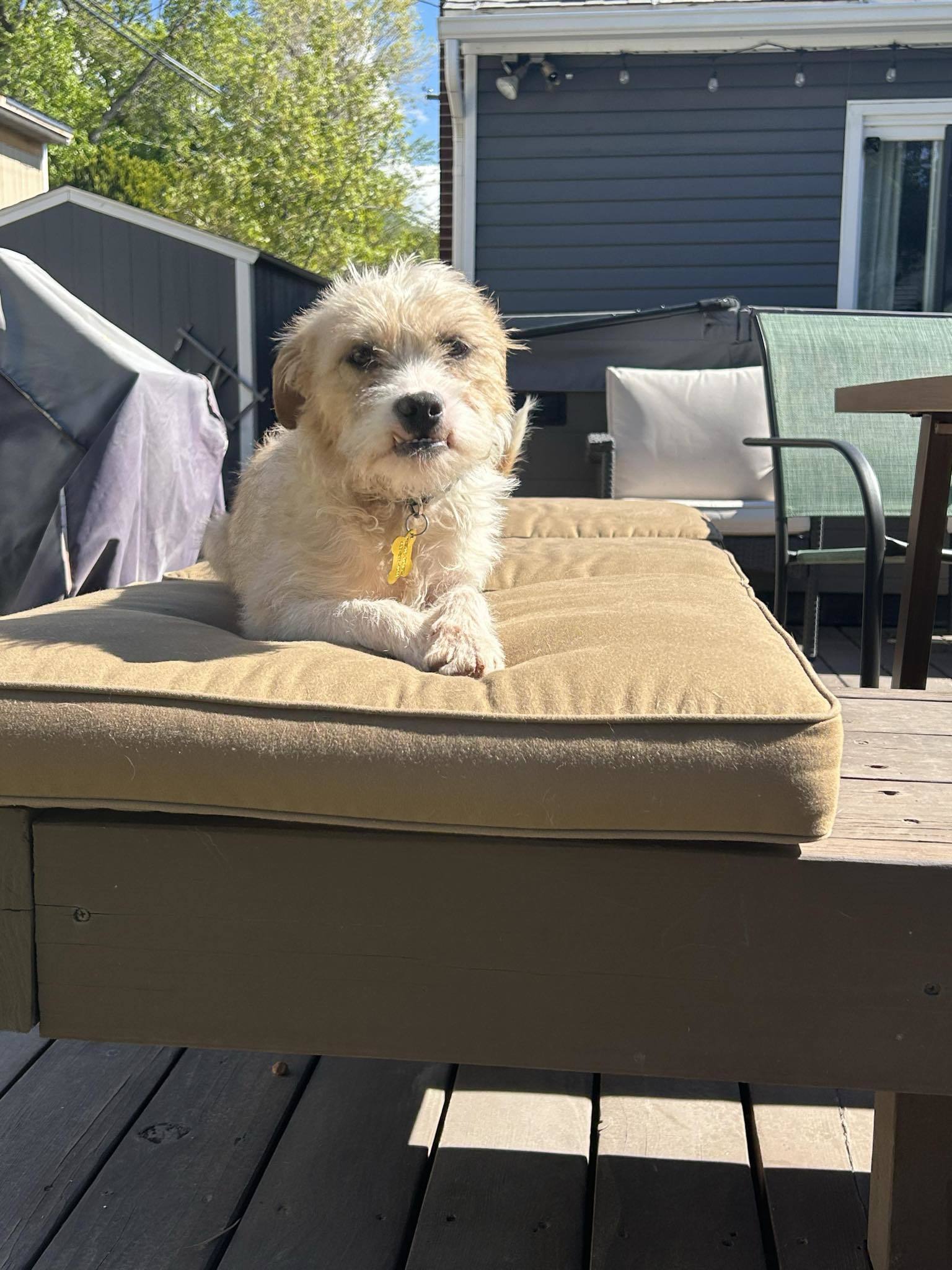 Winston Wiggles