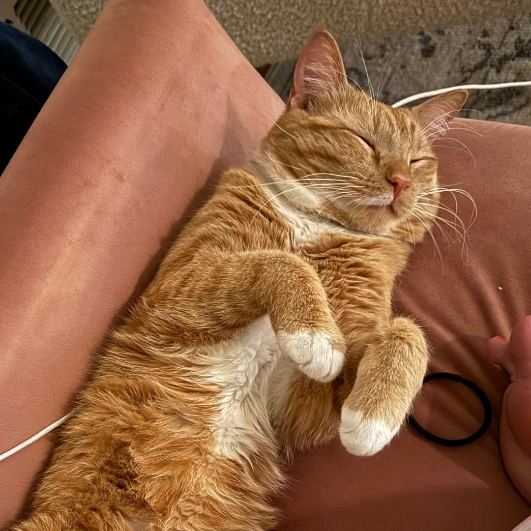 Nacho