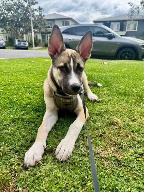 Luna