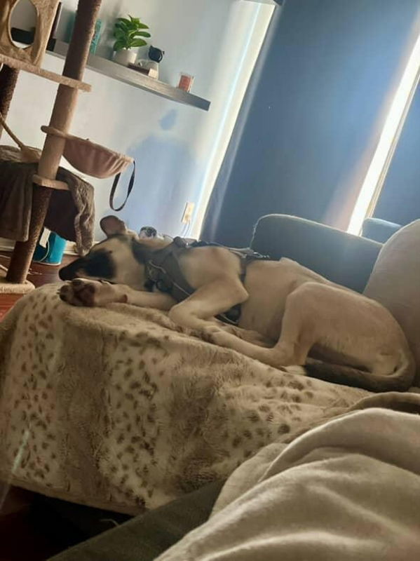 Luna 2