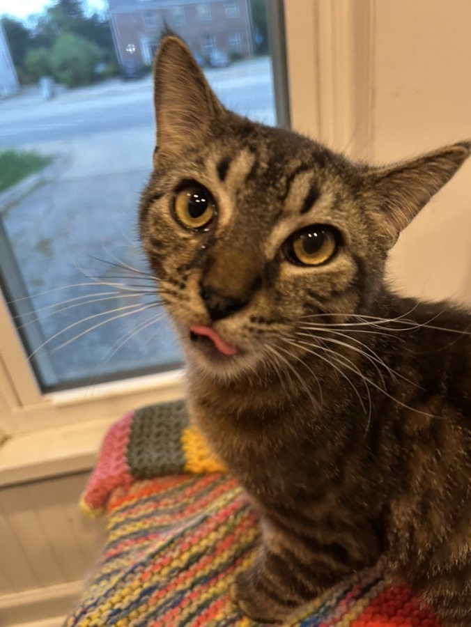 Jill (bonded to Jack)