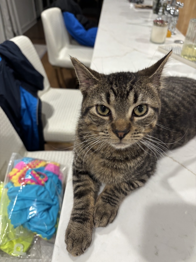 Jill (bonded to Jack)