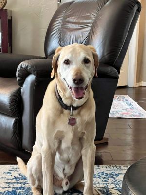 Boone, Senior Male unknown