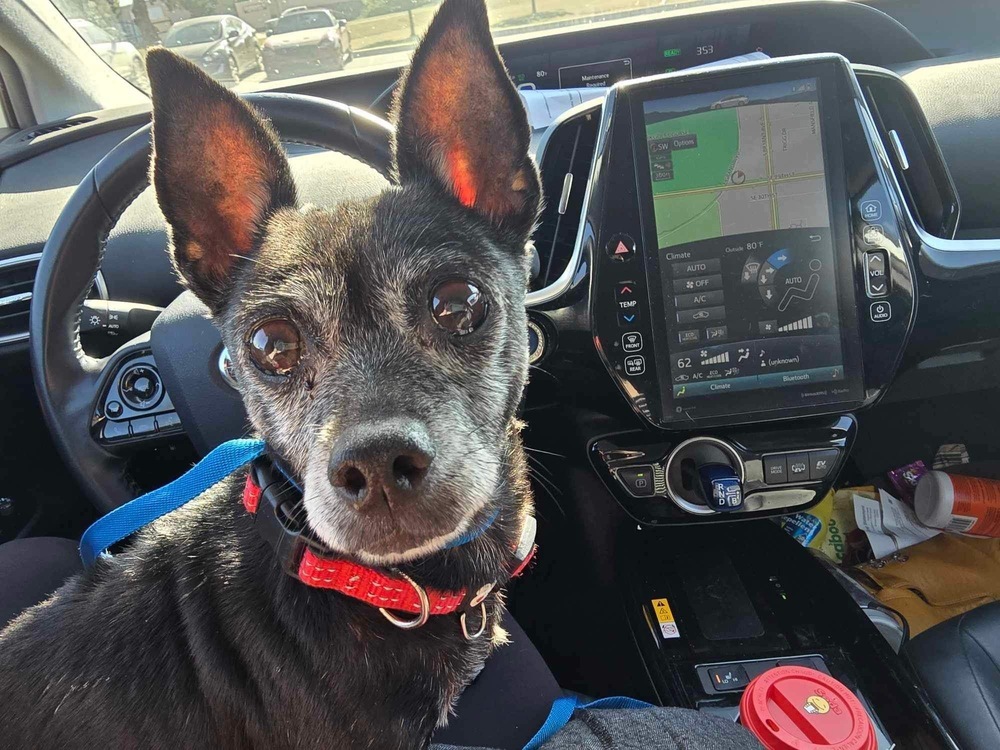 Jax