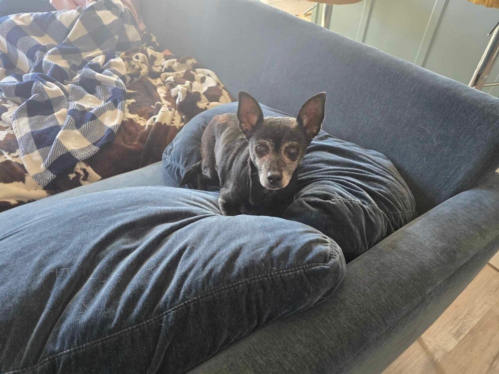 Jax