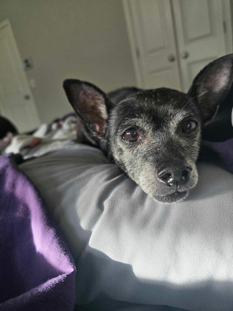 Jax