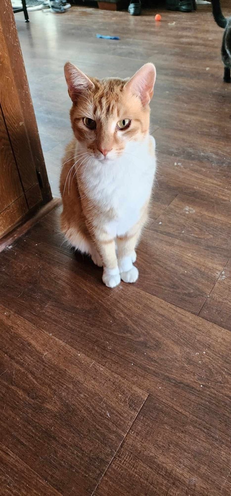 Milo