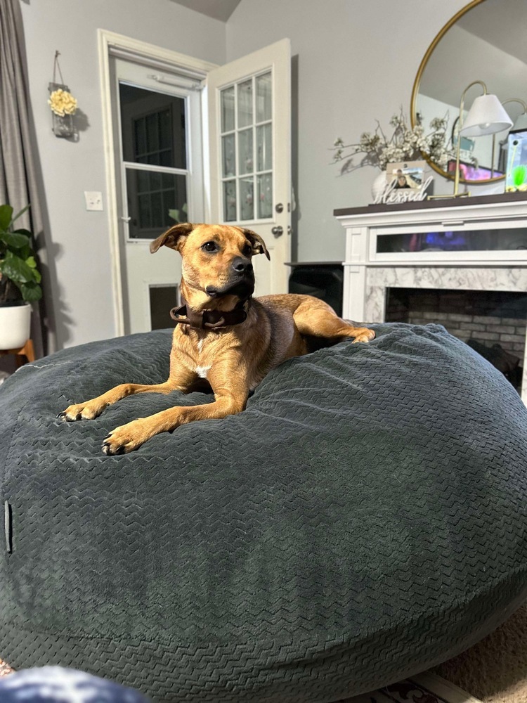 Oscar