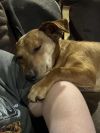 Ruhn photo 4