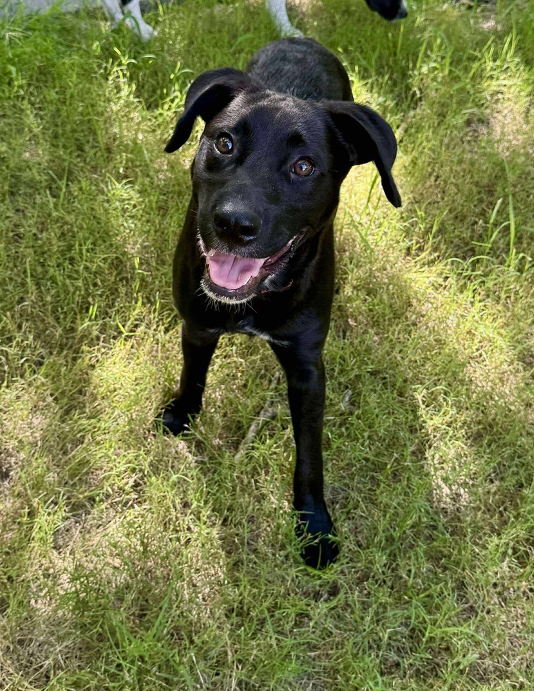 Lenny