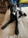 Lenny photo 6