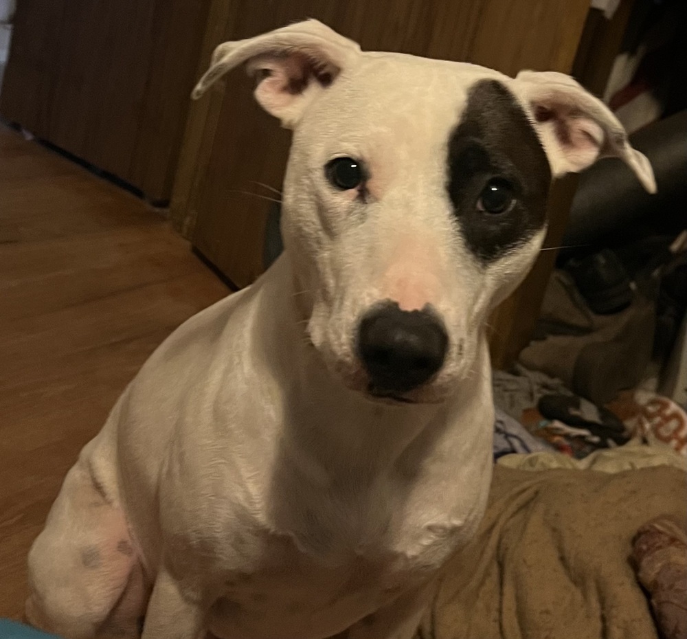 Maggie
