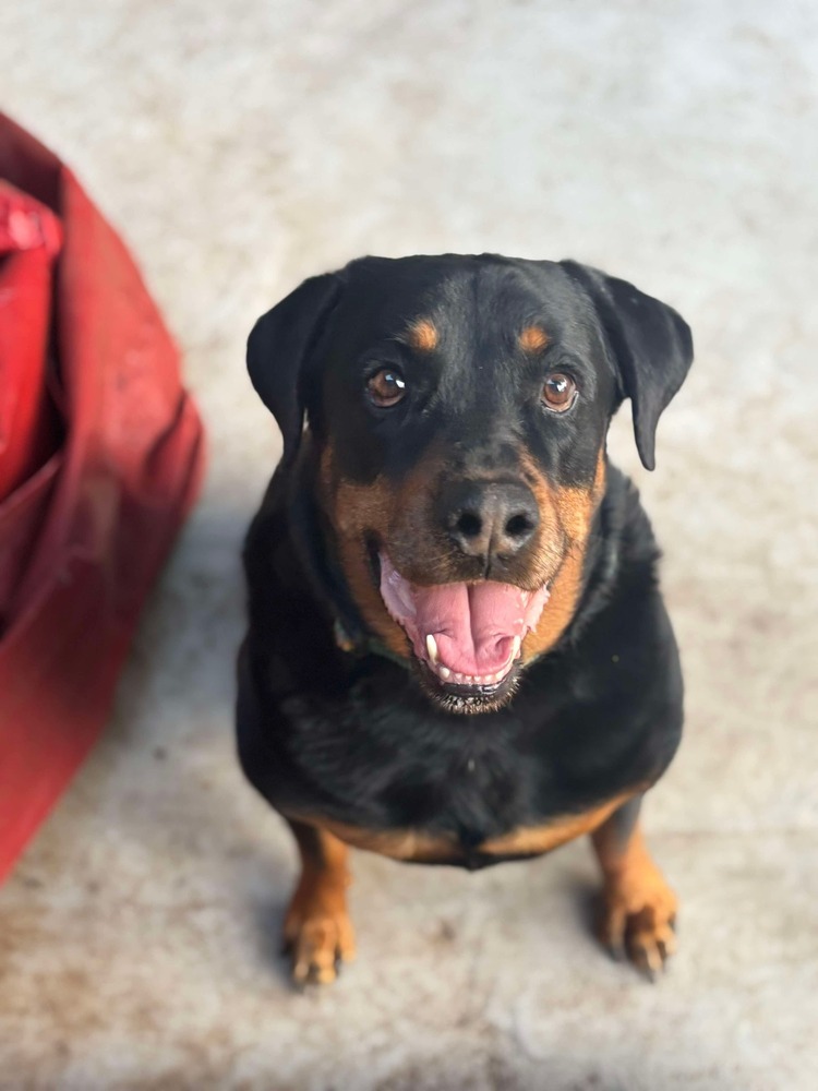 Jude