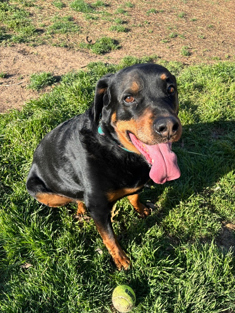 Jude