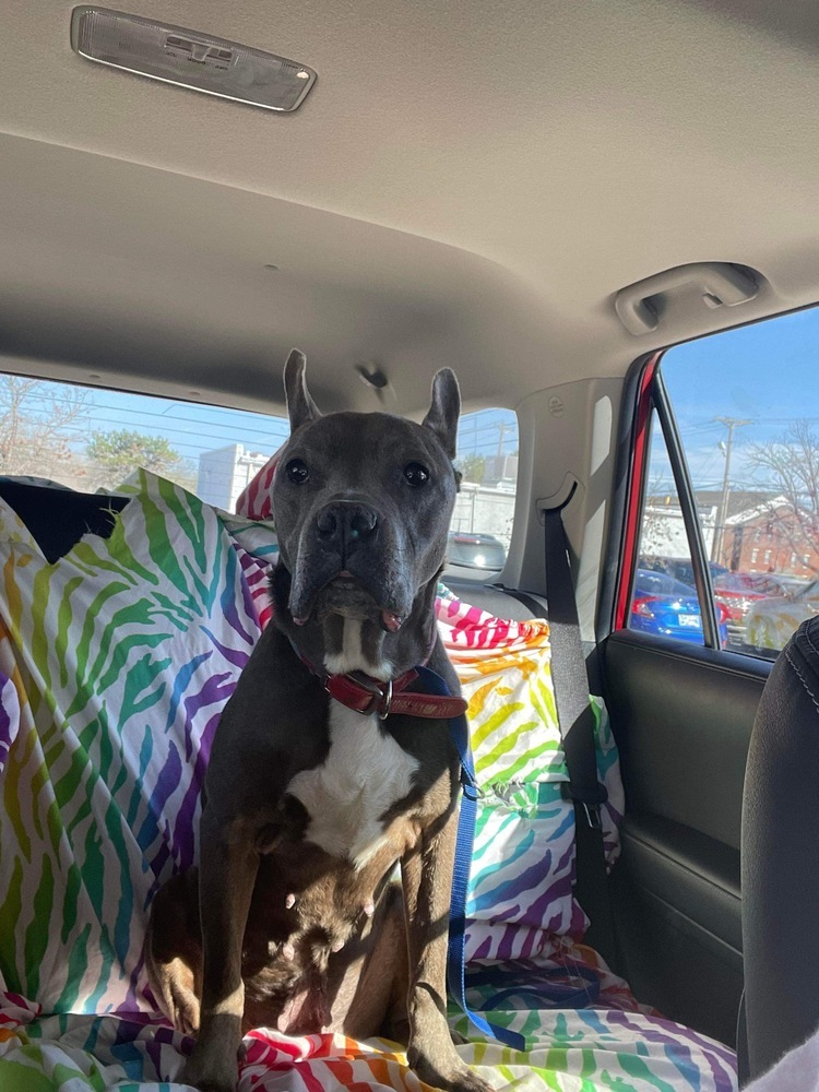Nyla