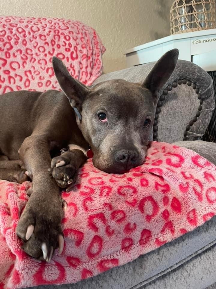 Nyla