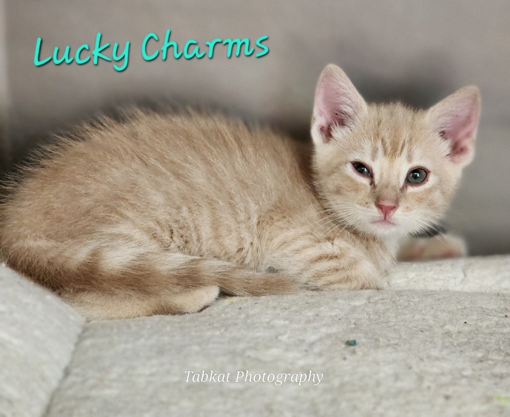 Lucky Charms