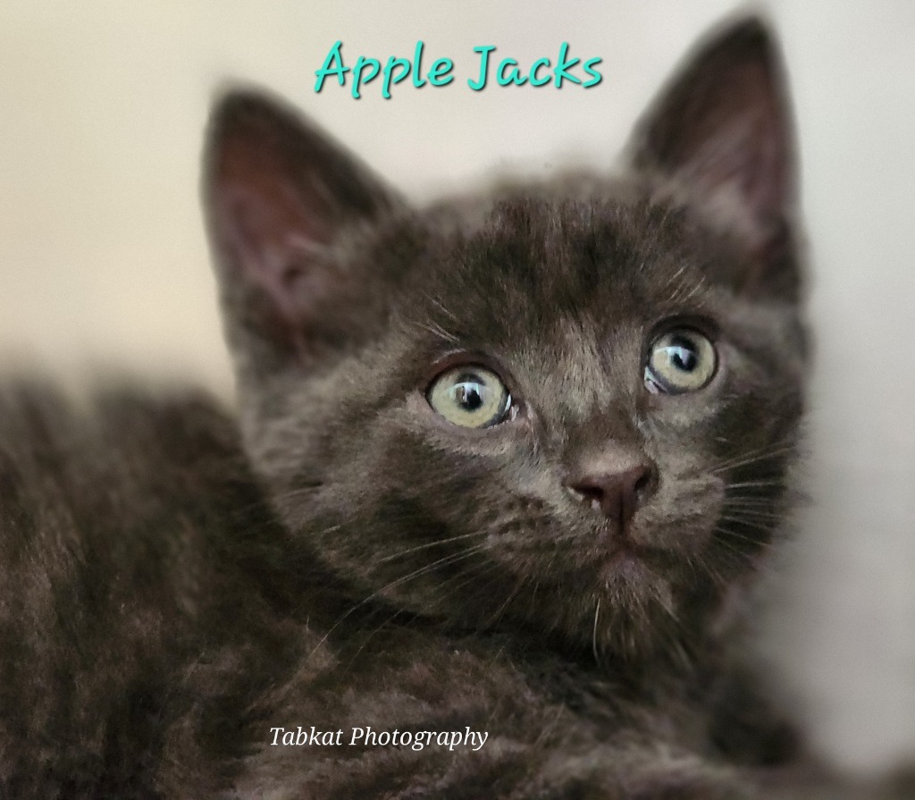 Apple Jacks