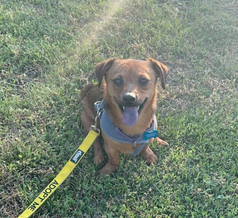Benny