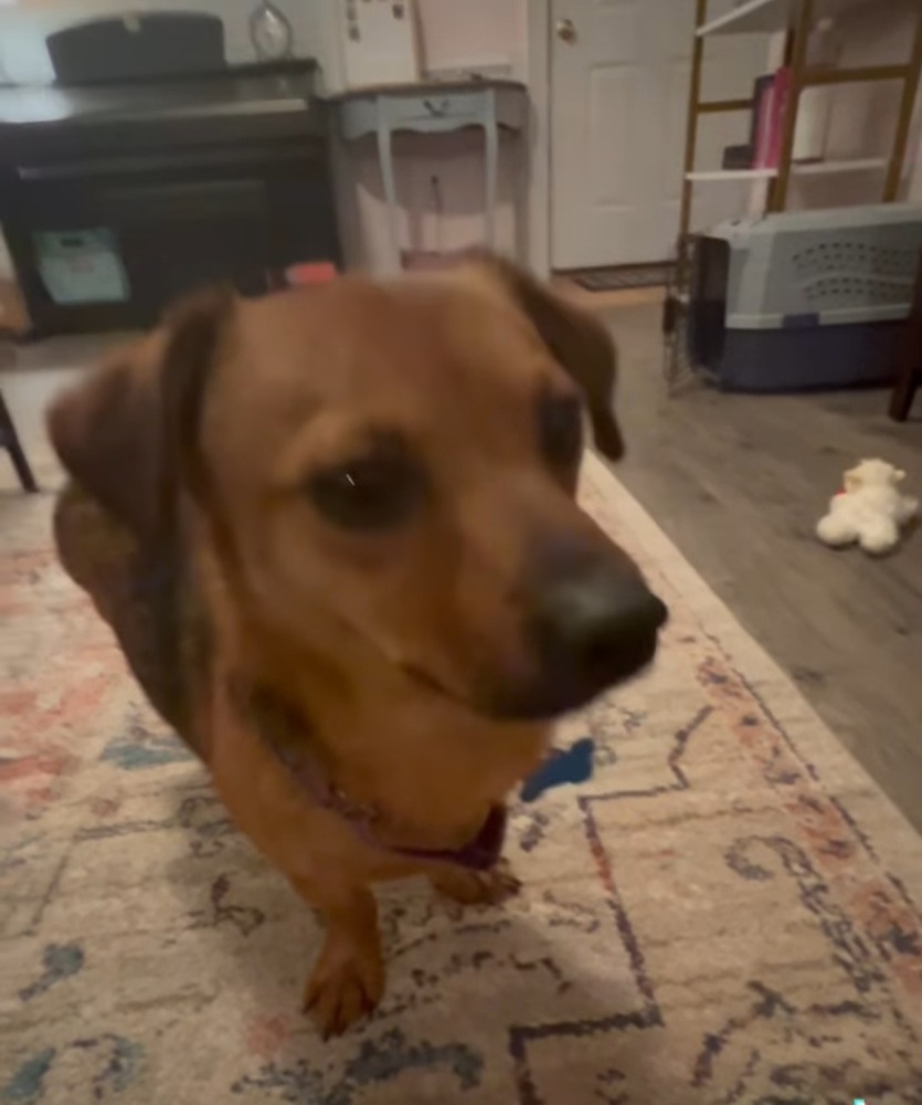 Benny