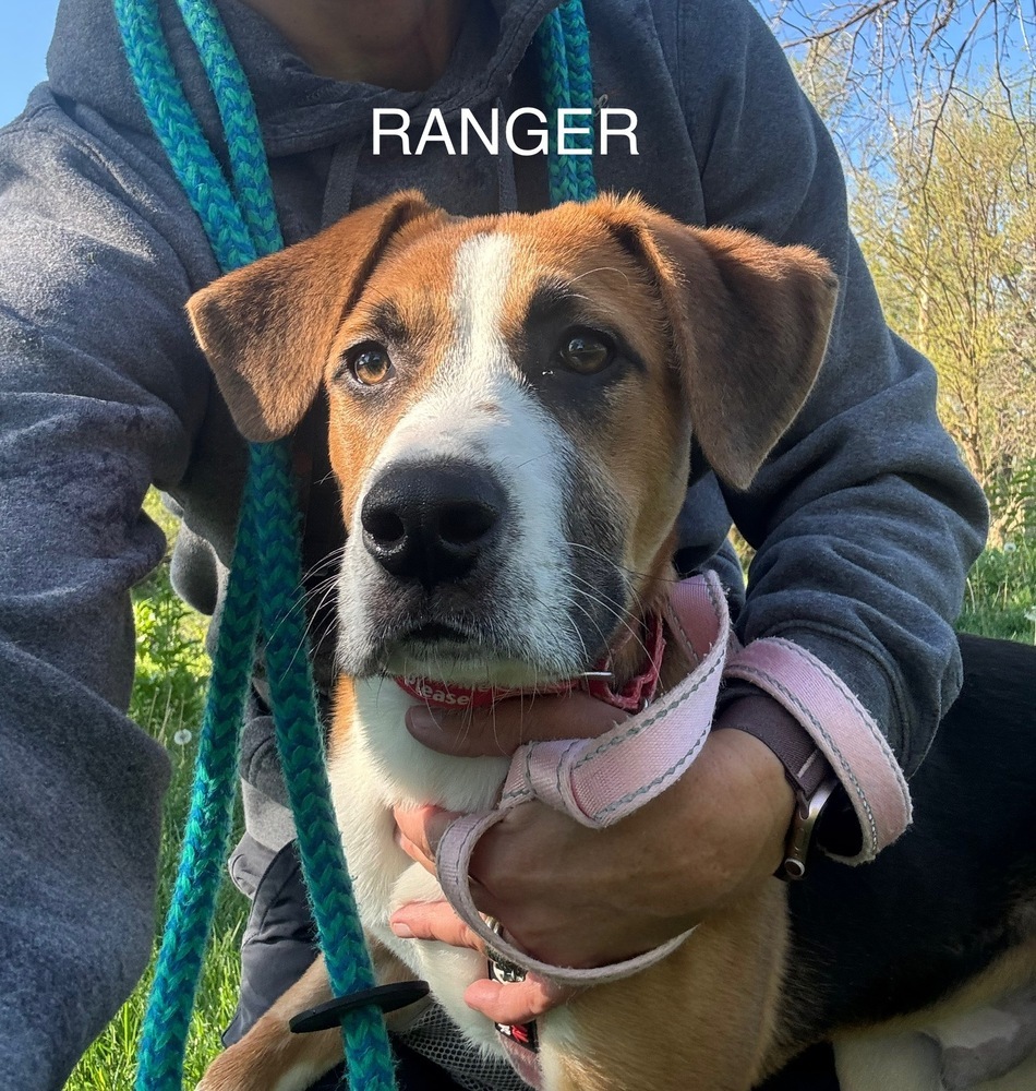 Ranger