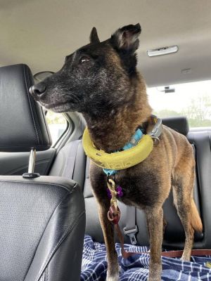 Harper located in Illinois