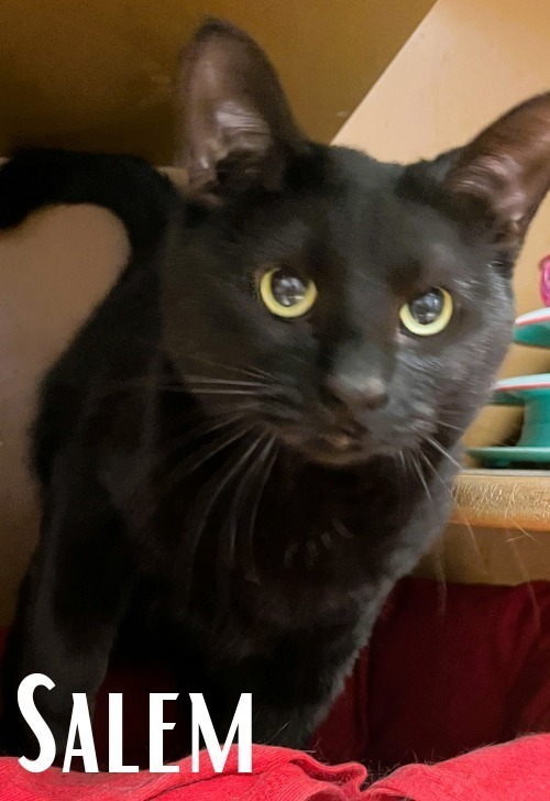 Salem