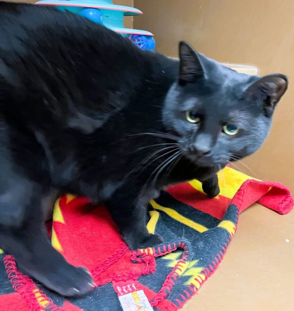 Salem