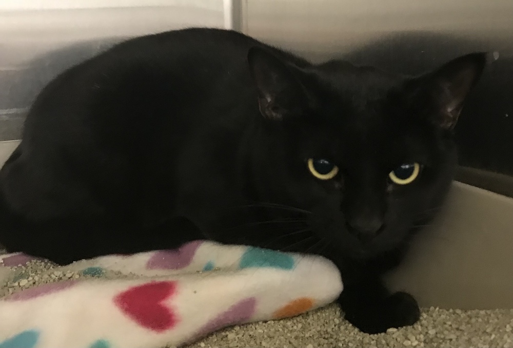 Salem