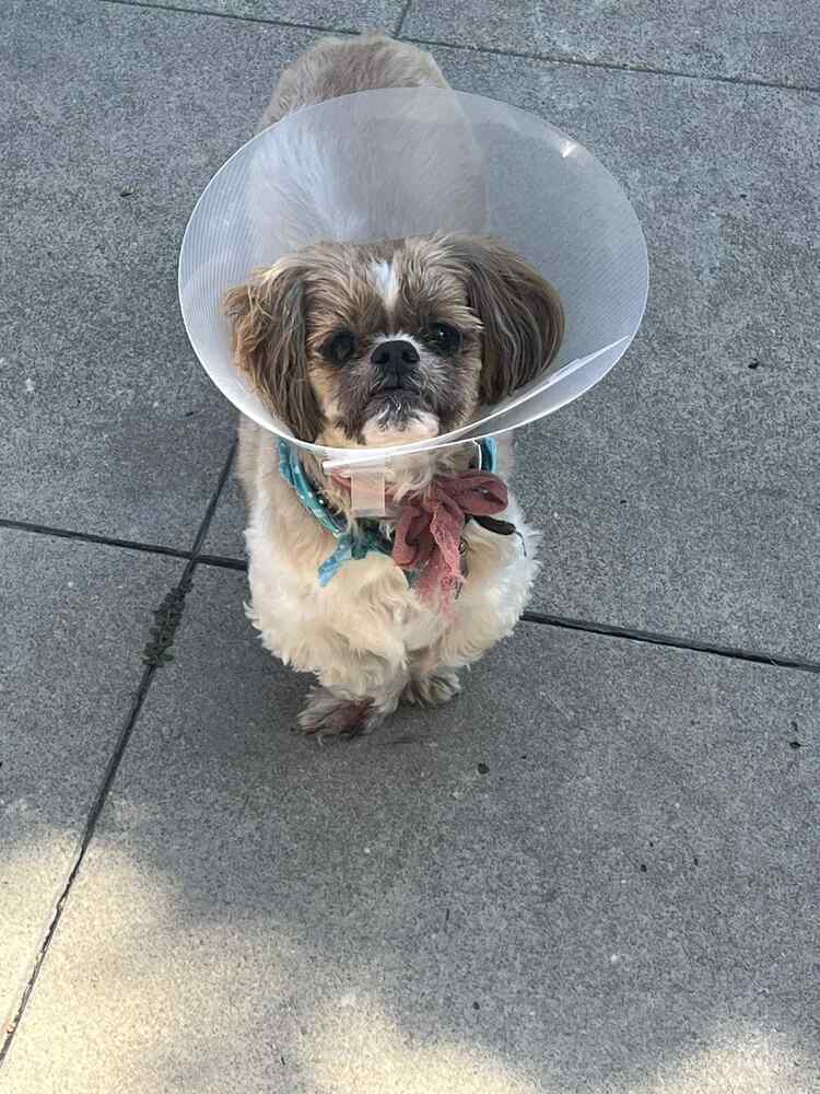 Winnie
