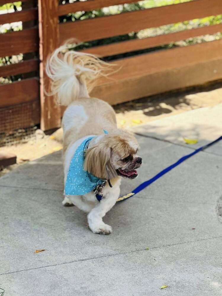 Winnie