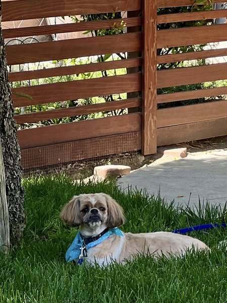 Winnie