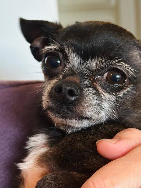 Maggie