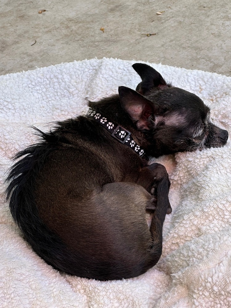 Maggie