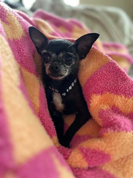 Maggie