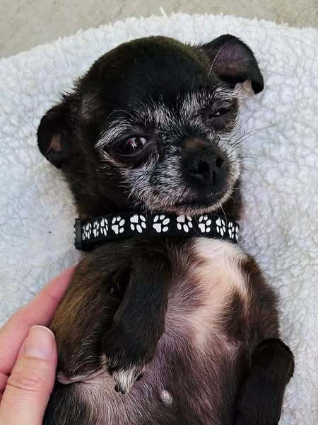 Maggie
