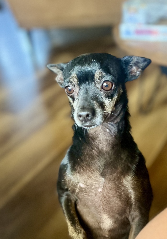 Tito