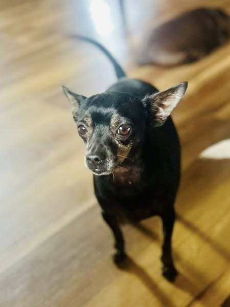 Tito