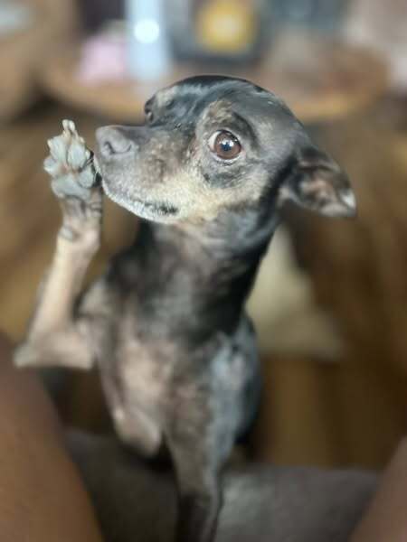 Tito